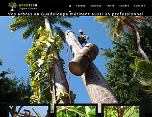 Arbotech Elagage un site réalisé par AGWANET, agence de création et de maintenance de site internet en Guadeloupe