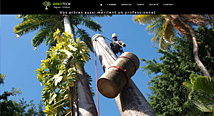 Arbotech Elagage - démontage, abattage arbres en Guadeloupe par Agwanet
