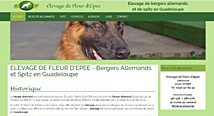 Fleur d'Epée élevage de chiens, berger allemand et spitz en Guadeloupe par Agwanet